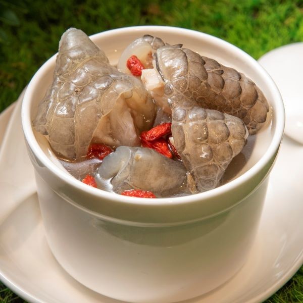 【鱷魚廚房】培元龍鳳燉鱷盅湯 Angelica crocodile meat soup